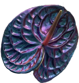 daun-1