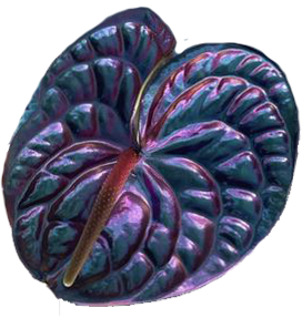 daun-2