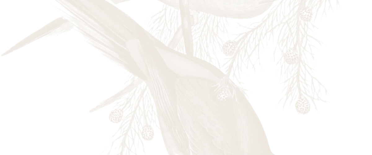 bg-wishes-2