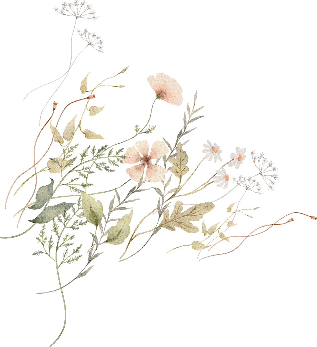 daun-1
