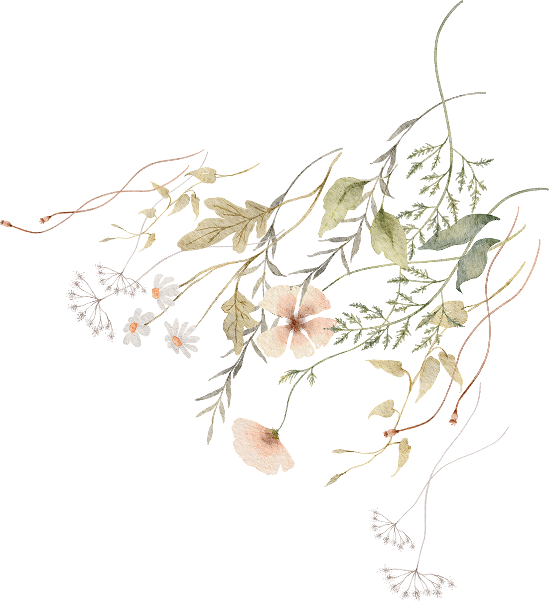 daun-2