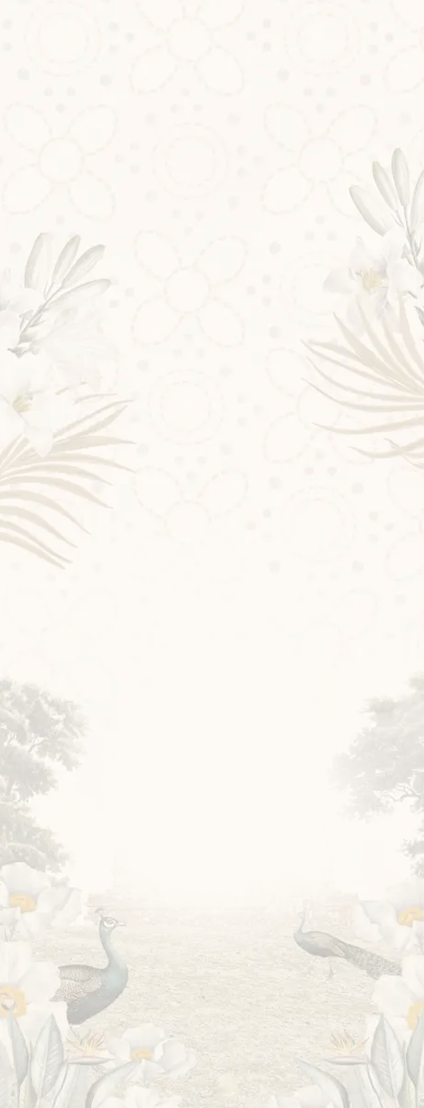 bg-venue-card